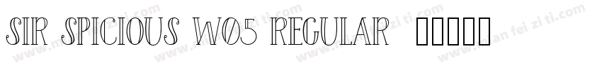 Sir Spicious W05 Regular字体转换